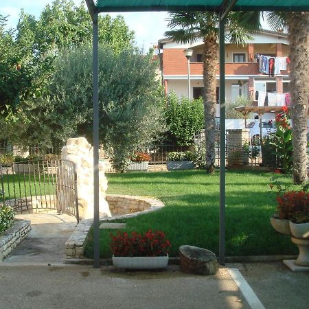 Apartments And Rooms Branka Novigrad Istria Esterno foto
